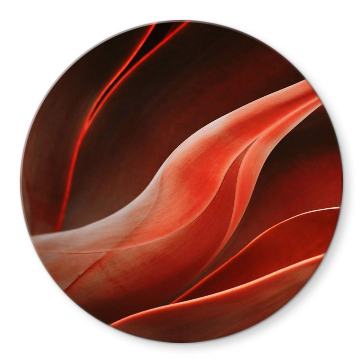 Glasbild Wechsler - Pflanzen Stillleben Agave im Herbst - Rund - WA354256