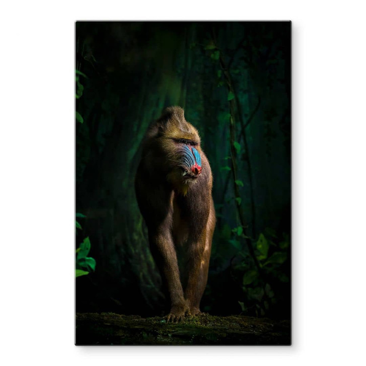 Glasbild Yunta - Im Dschungel - WA326439