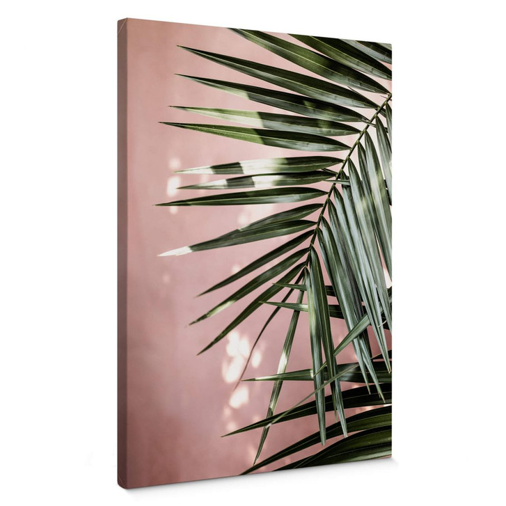 Leinwandbild Palmenblatt vor rosa Wand - Böhmer - WA402998