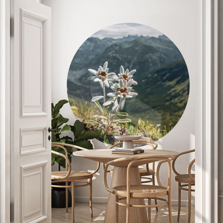 Wandtattoo Weisser Alpen-Edelweiss auf dem Berg - Rund - WA430078