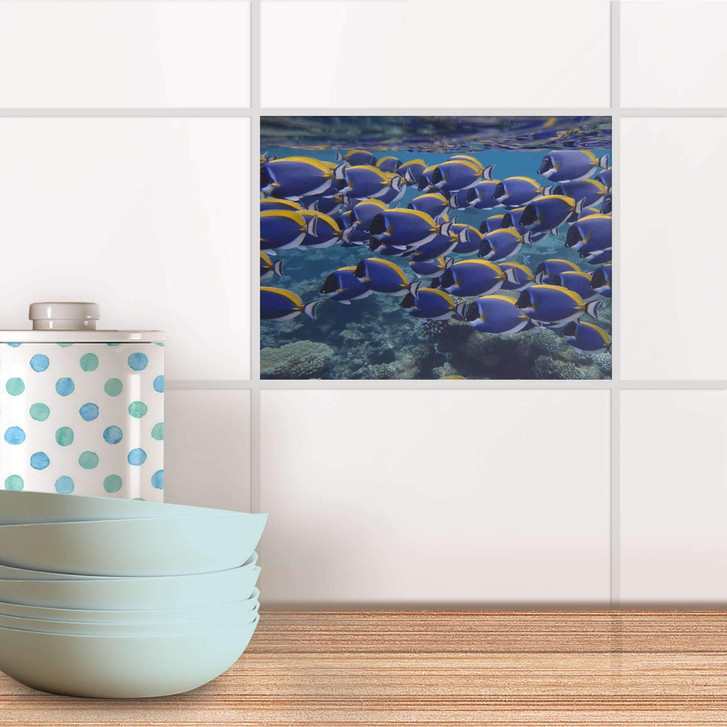 Fliesenfolie - Fish swarm - CR104079
