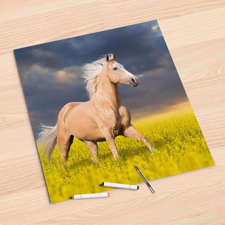 Folienbogen (60x60cm) - Wildpferd - CR107240