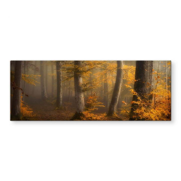 Glasbild Goldene Blätter im nebligen Wald - Maier - Panorama - WA443699