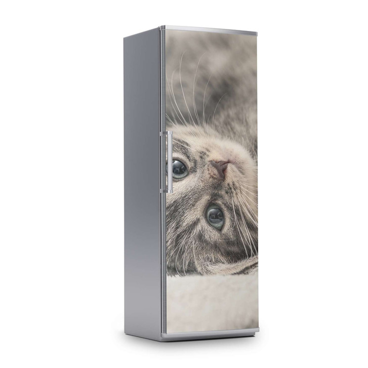 Kühlschrankfolie 60x180cm - Kitty the Cat - CR113122