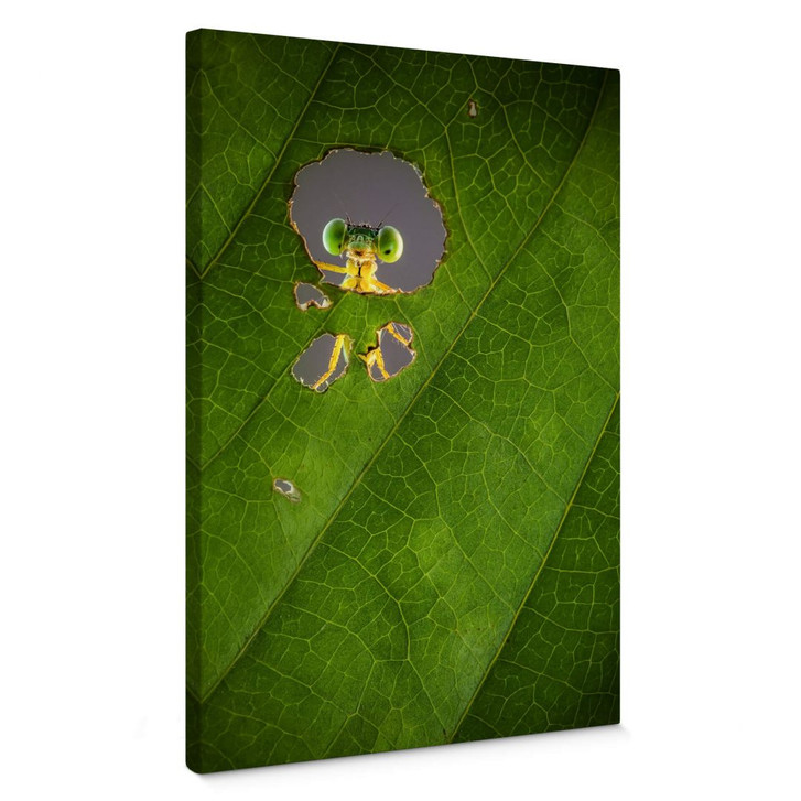 Leinwandbild Wilianto - Hello little Friend - WA377283