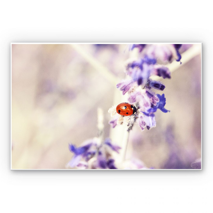 Wandbild Little Friend - WA193830