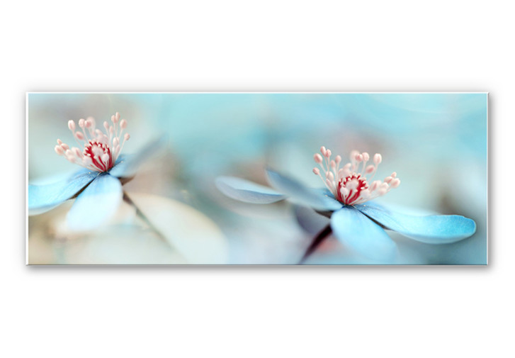 Wandbild Westum - Zarte Blüten - WA196161