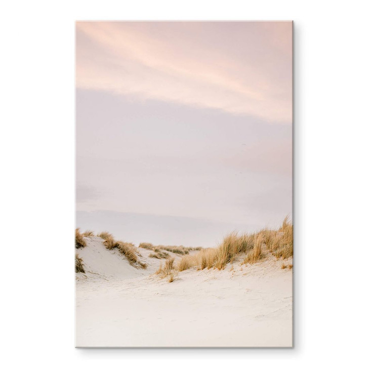 Acrylglasbild Zwart - Dünenlandschaft in Ameland - WA351904