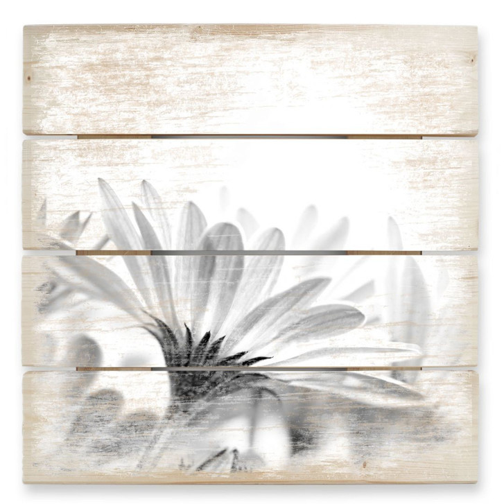 Holzbild Gänseblümchen im Detail - 40 x 41.5 cm - WA132061