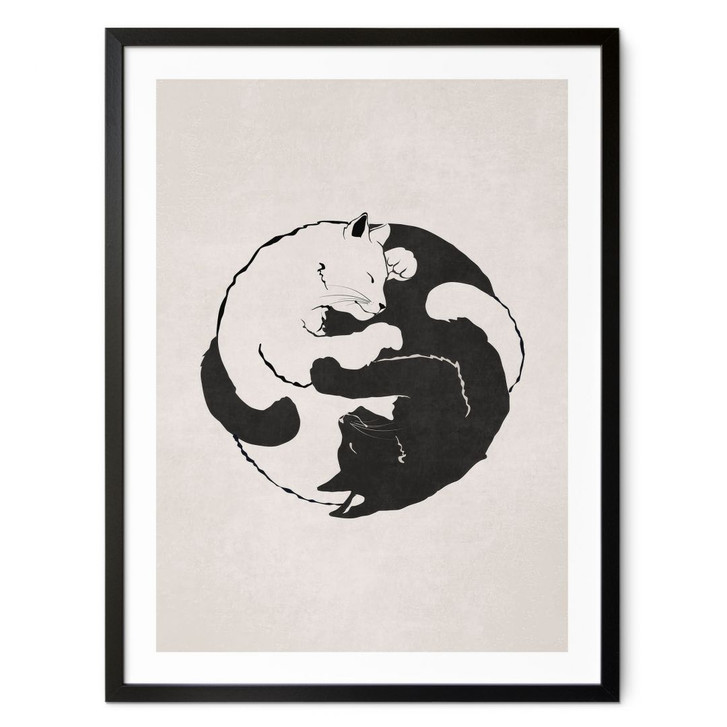 Poster Katzen Ying & Yang - Tunaboylu - WA427308