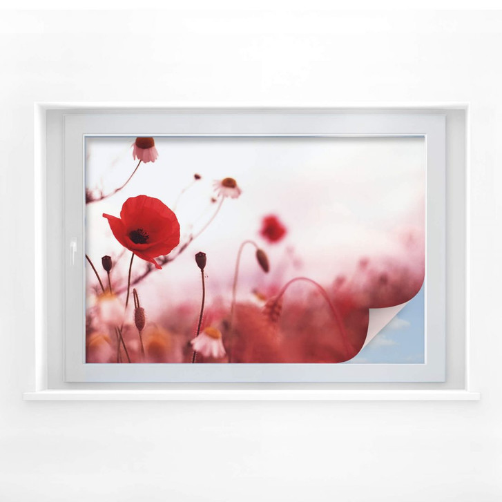 Sichtschutzfolie Mohn Impressionen - WA175916