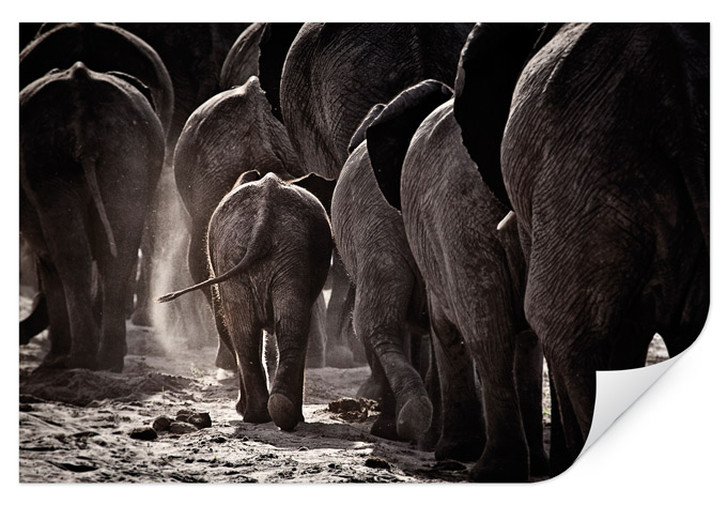 Wallprint McRae - Walking Home - WA242043