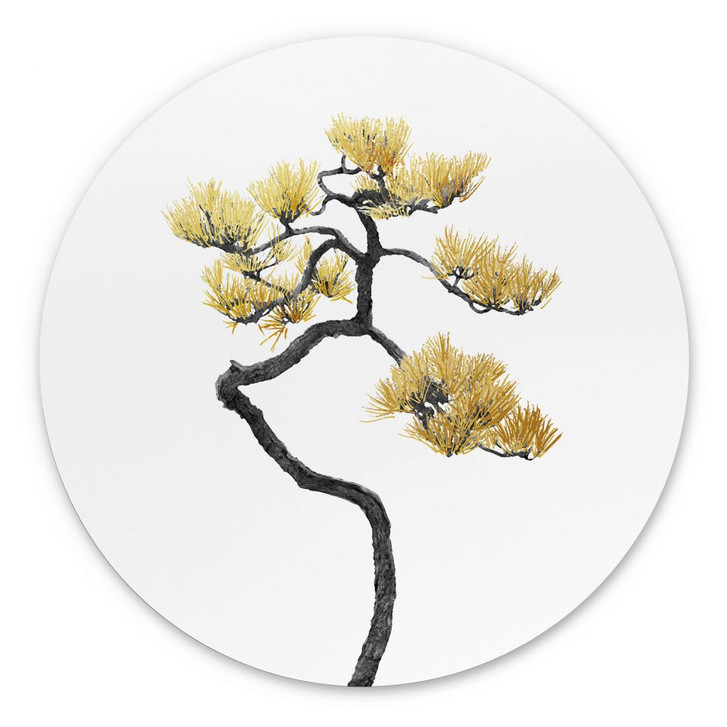 Alu-Dibond Bild Bonsai in Balance - Amini - Rund - WA394012