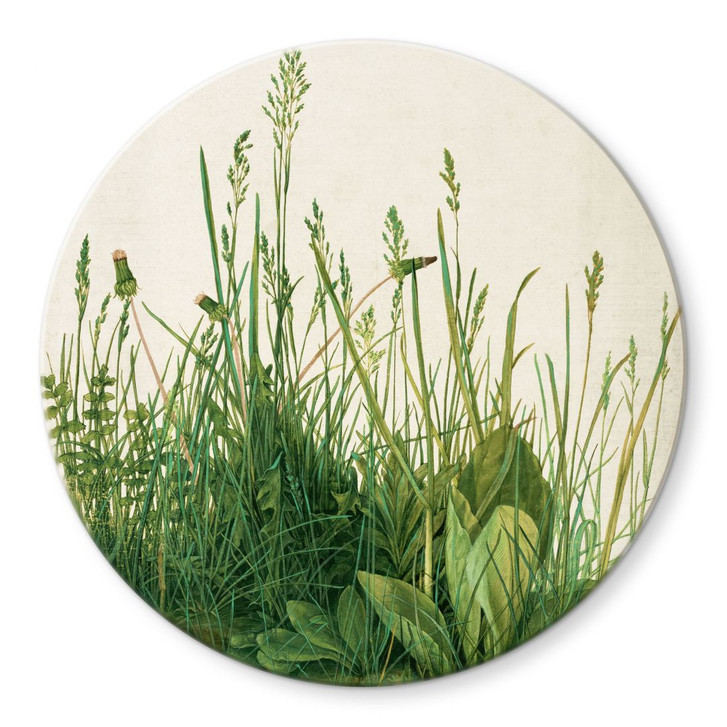 Glasbild Dürer - Das grosse Rasenstück - WA309078