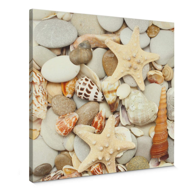 Leinwandbild Muscheln und Steine - Quadratisch - WA307028