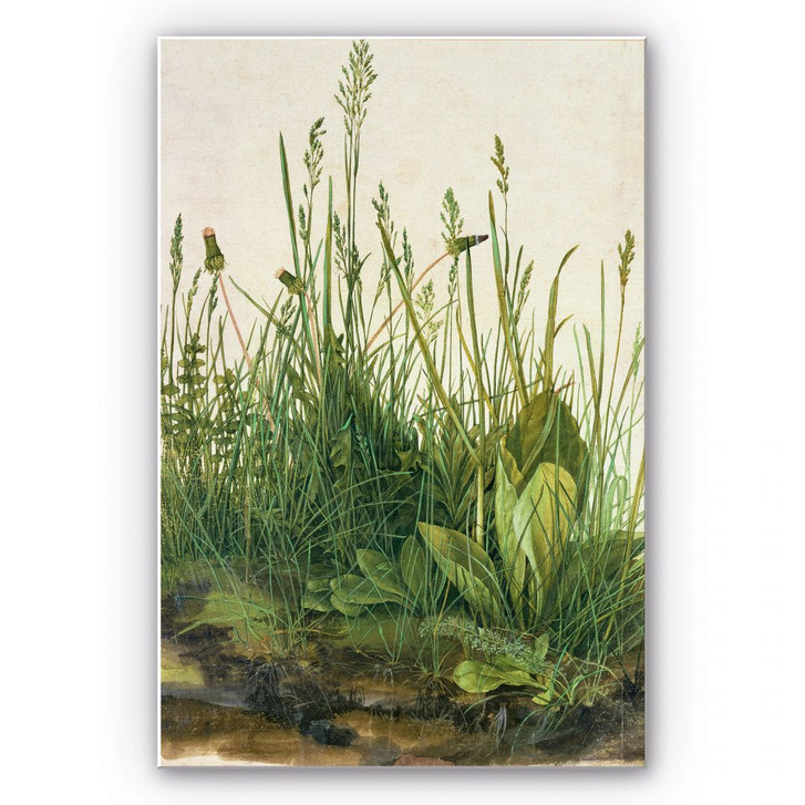 Wandbild Dürer - Das grosse Rasenstück - WA192295