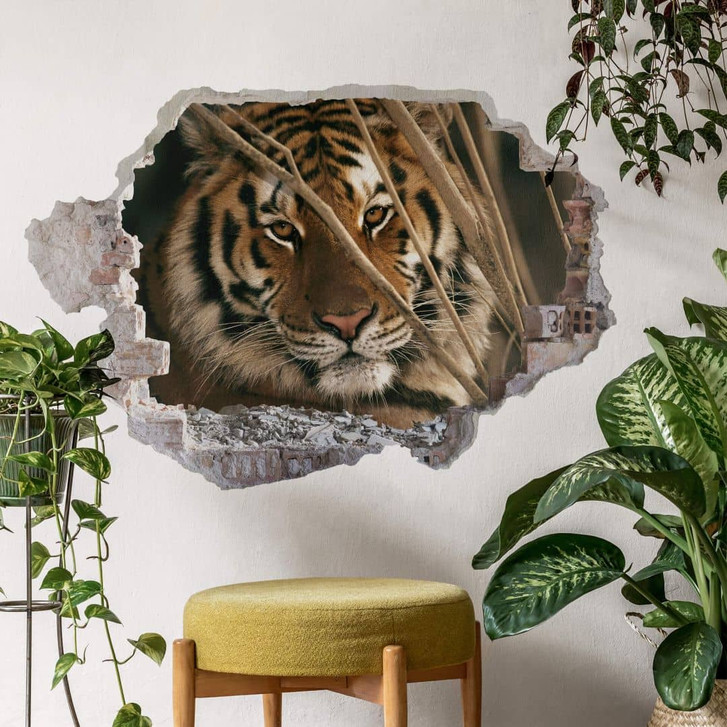 3D Wandtattoo National Geographic Tiger - 100 x 68 cm - RS103032