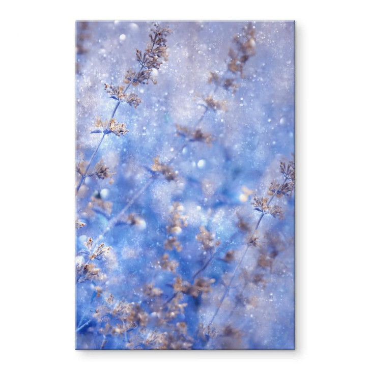 Acrylglasbild Devos - Früher Winter - WA319462