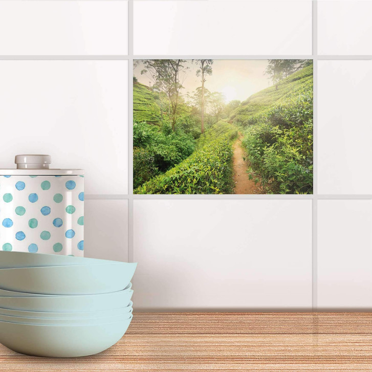 Fliesenfolie - Green Tea Fields - CR104109