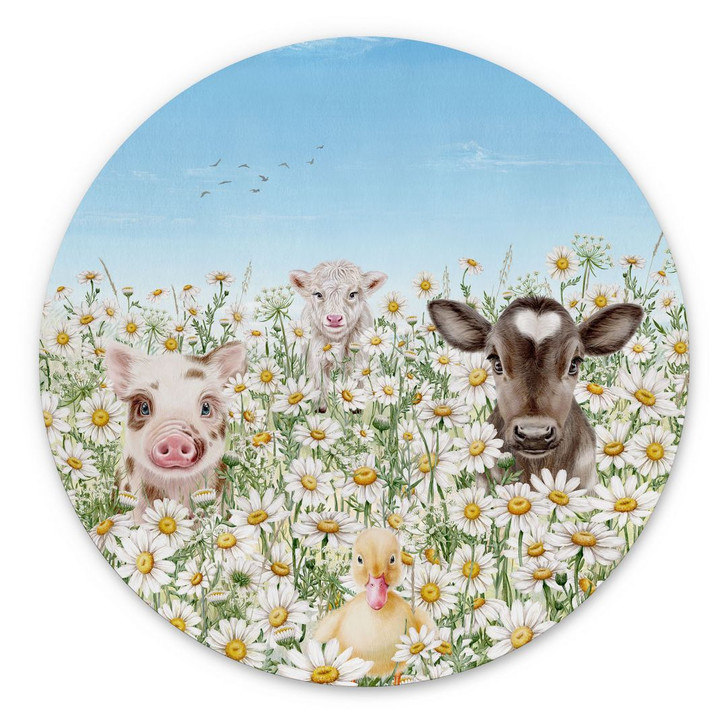 Wandbild Bauernhoftiere auf der Blumenwiese - Kikki Belle - Alu-Dibond - Rund - WA415810