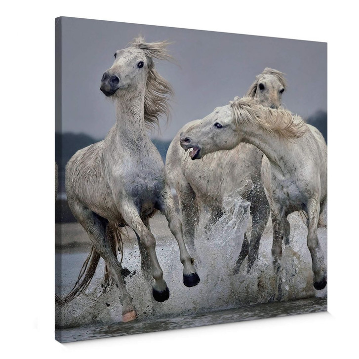 Leinwandbild Keates - Move over  - WA366427