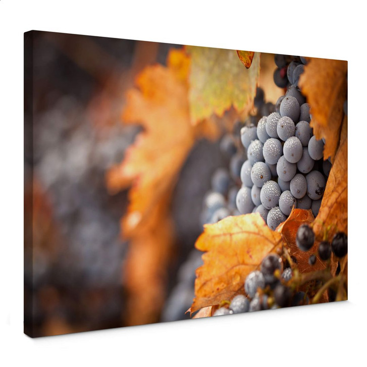Leinwandbild Wein im Herbst - WA377011