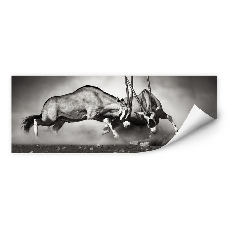 Wallprint Das Duell - Panorama - WA182923