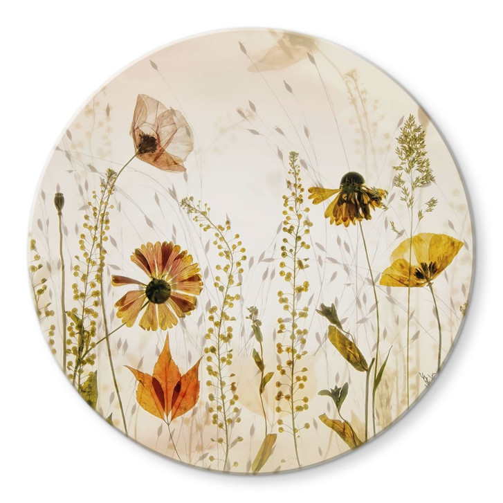 Glasbild Wilde Wiesenblumen im Sonnenlicht - Talen - Rund - WA432265
