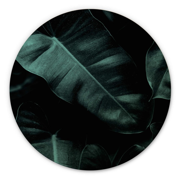 Holzbild Kubistika - Jungle - Rund - WA302717