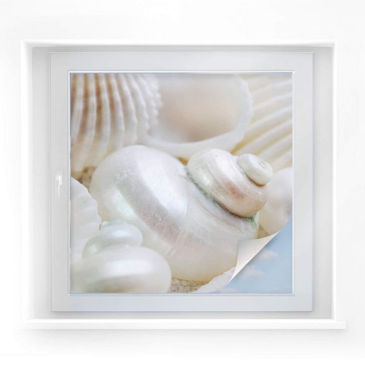 Sichtschutzfolie Perlmuttglanz - quadratisch - WA176377