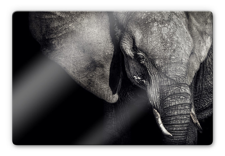 Glasbild Flour - Matriarchin - WA232107