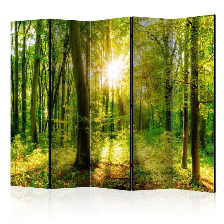 Paravent, Raumteiler freistehend, Trennwand - Forest Rays II, 5-teilig - einseitig bedruckt - 225 x 172 cm - WA438181