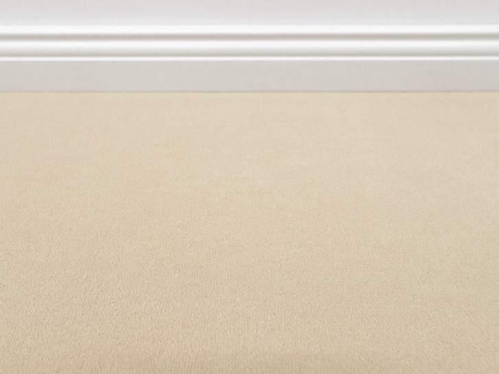 Vorwerk® Modena Teppichboden Meterware in 8a72 - TS546467