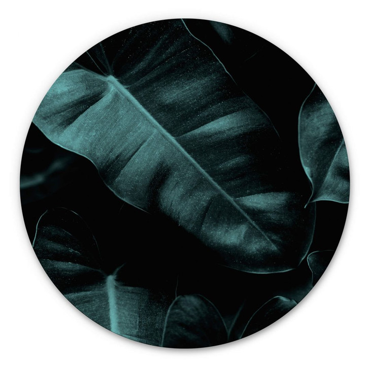 Alu-Dibond Kubistika - Jungle - Rund - WA301918