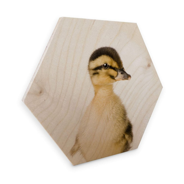 Hexagon - Holz Sisi & Seb - Entenküken - WA309598