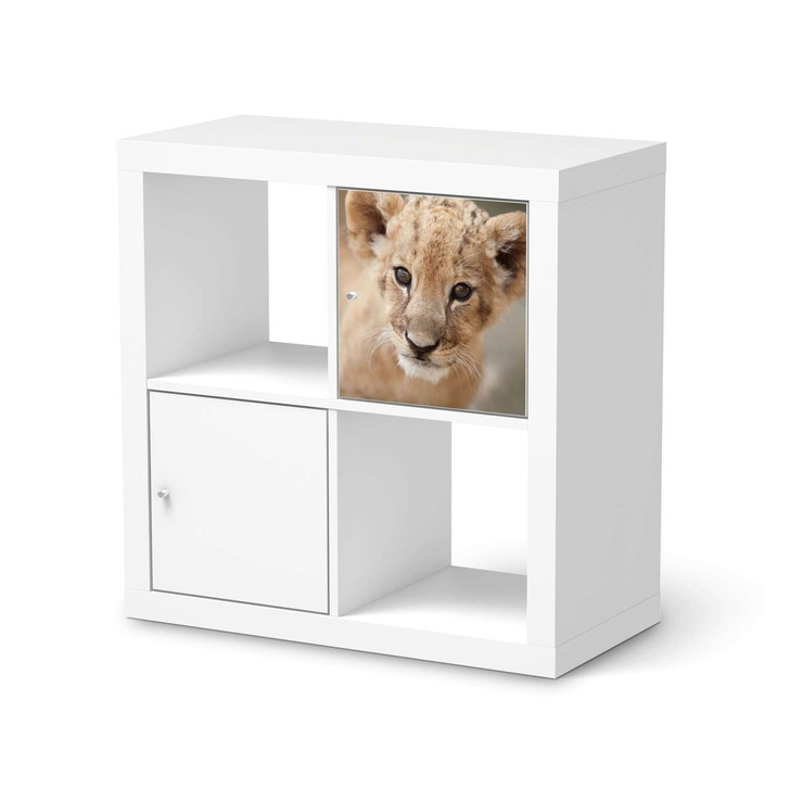 Klebefolie IKEA Expedit Regal Tür einzeln - Simba - CR111289