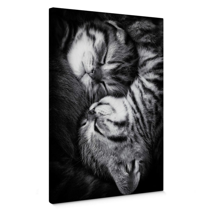 Leinwand Jancova - Sweet Kitten - WA356535