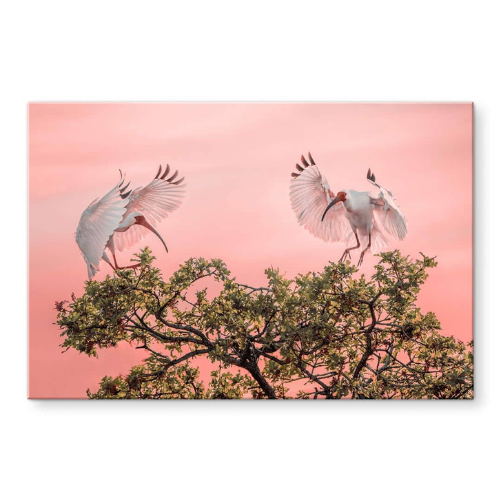 Acrylglasbild Natur - Zhao - Vogelpärchen im Sonnenuntergang - WA392444