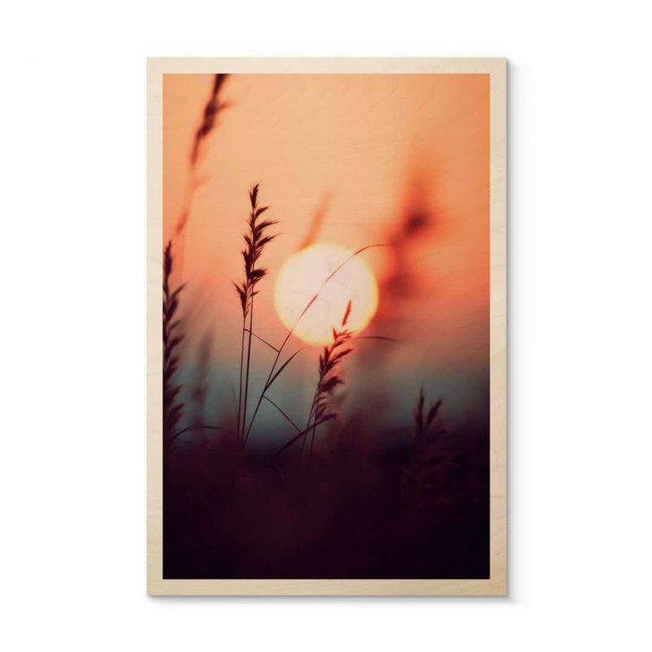 Holzbild Gräser im Licht der glühenden Sonne - Treechild - WA472123