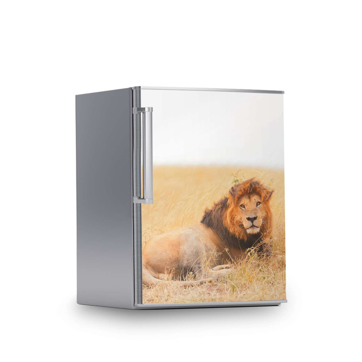 Kühlschrankfolie 60x80cm - Lion King - CR113253