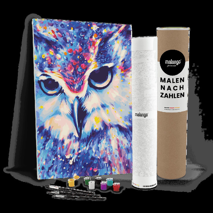 Malen nach Zahlen Leinwandbild - Eule Erna - WA447224