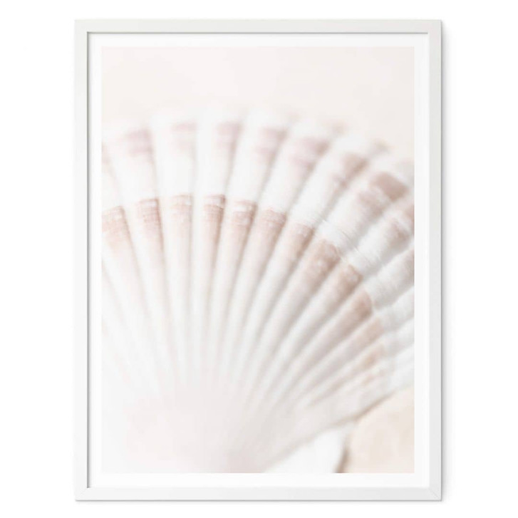 Poster 1X Studio - Jakobsmuschel - WA341959