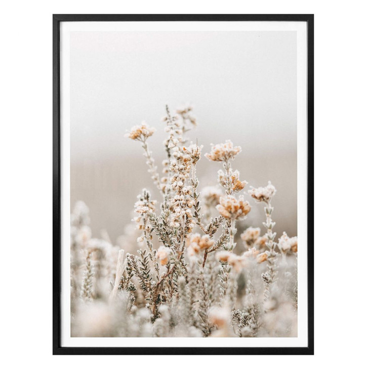 Poster Annie - Eisblüten - WA317529