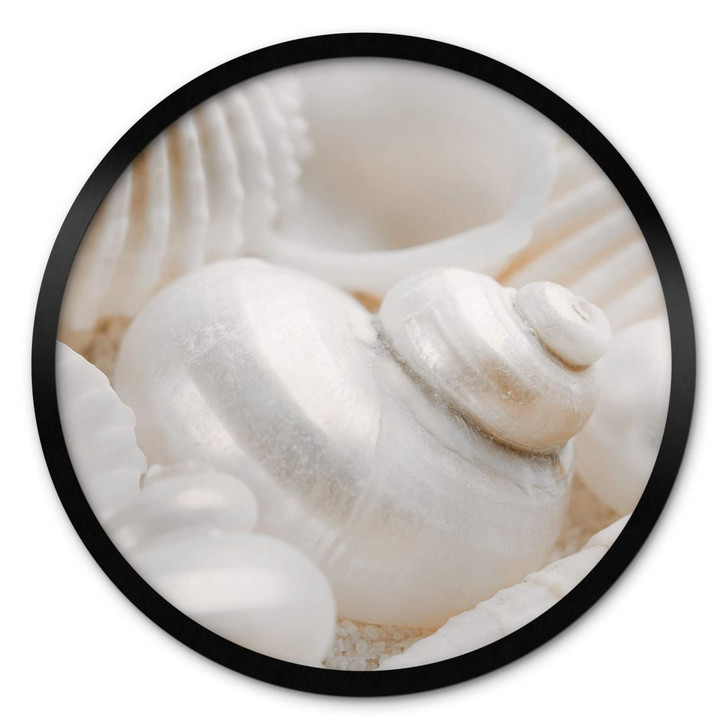 Poster Perlmuttglanz - Rund - WA380077