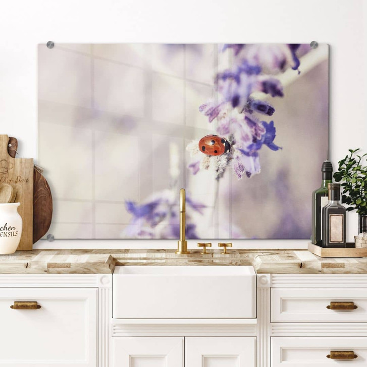 Spritzschutz Little Friend - WA178867