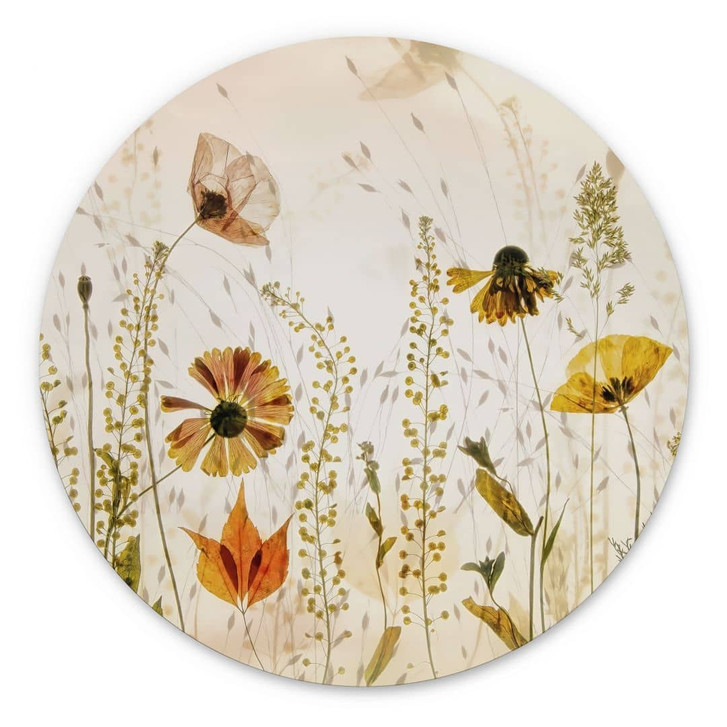 Wandbild Wilde Wiesenblumen im Sonnenlicht - Talen - Alu-Dibond Rund - WA431303