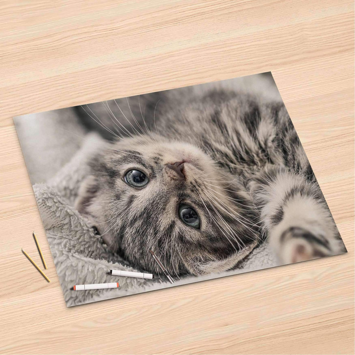 Folienbogen (120x80cm) - Kitty the Cat - CR106417