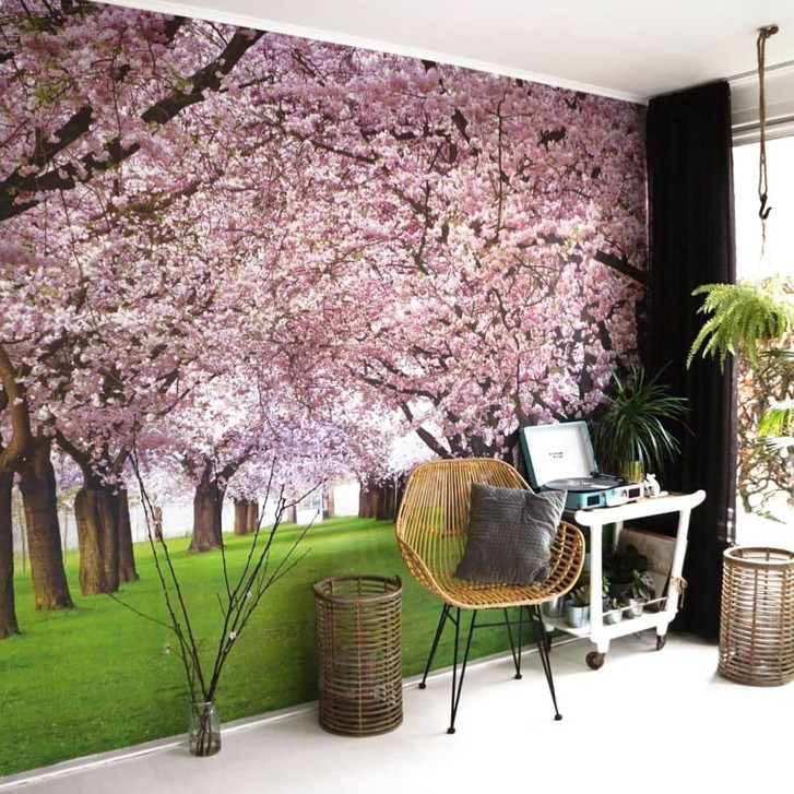 Fototapete Frühling - WA226501