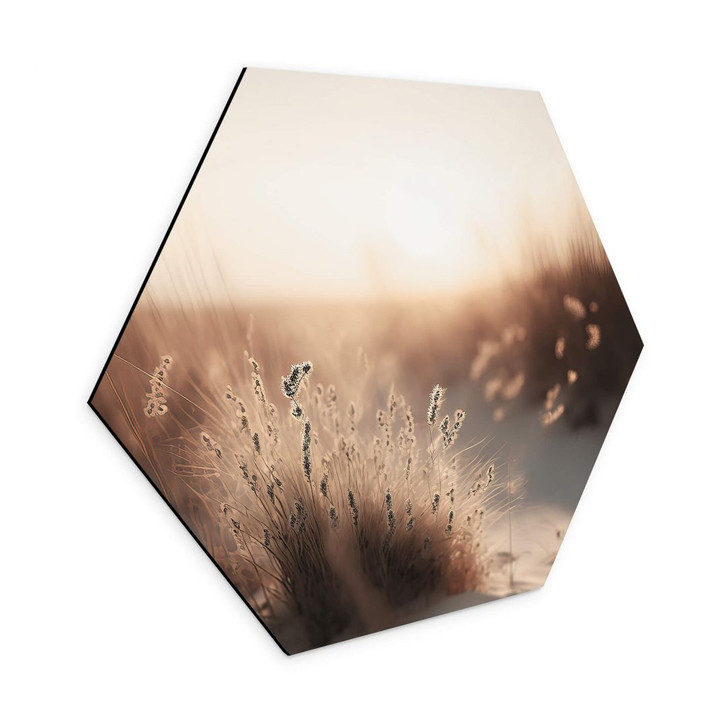 Hexagon Wandbild Treechild - Sonnenuntergang über den Dünen - Alu-Dibond - WA394457