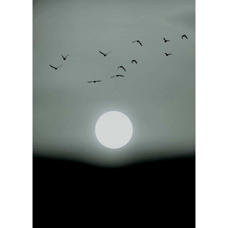 Livingwalls Fototapete ARTist Winter Lights Winter Stimmung grau, schwarz, weiss - WA310929